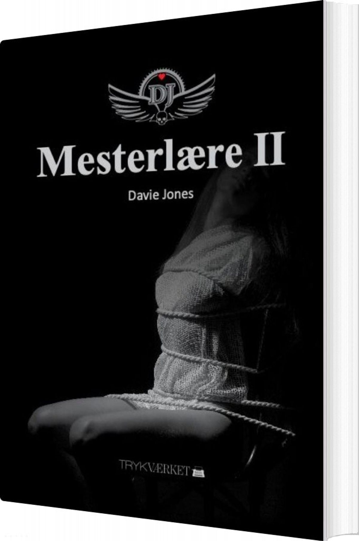 Mesterlære Ii - Davie Jones - Bog