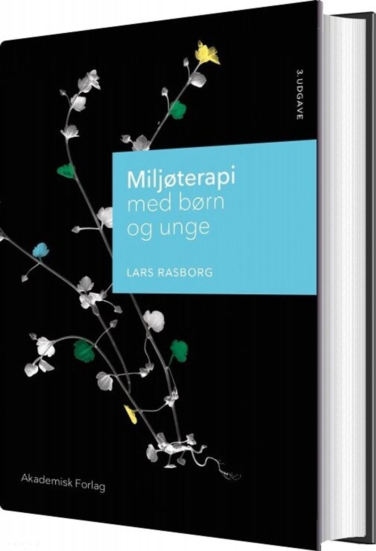 Miljøterapi Med Børn Og Unge - Lars Rasborg - Bog