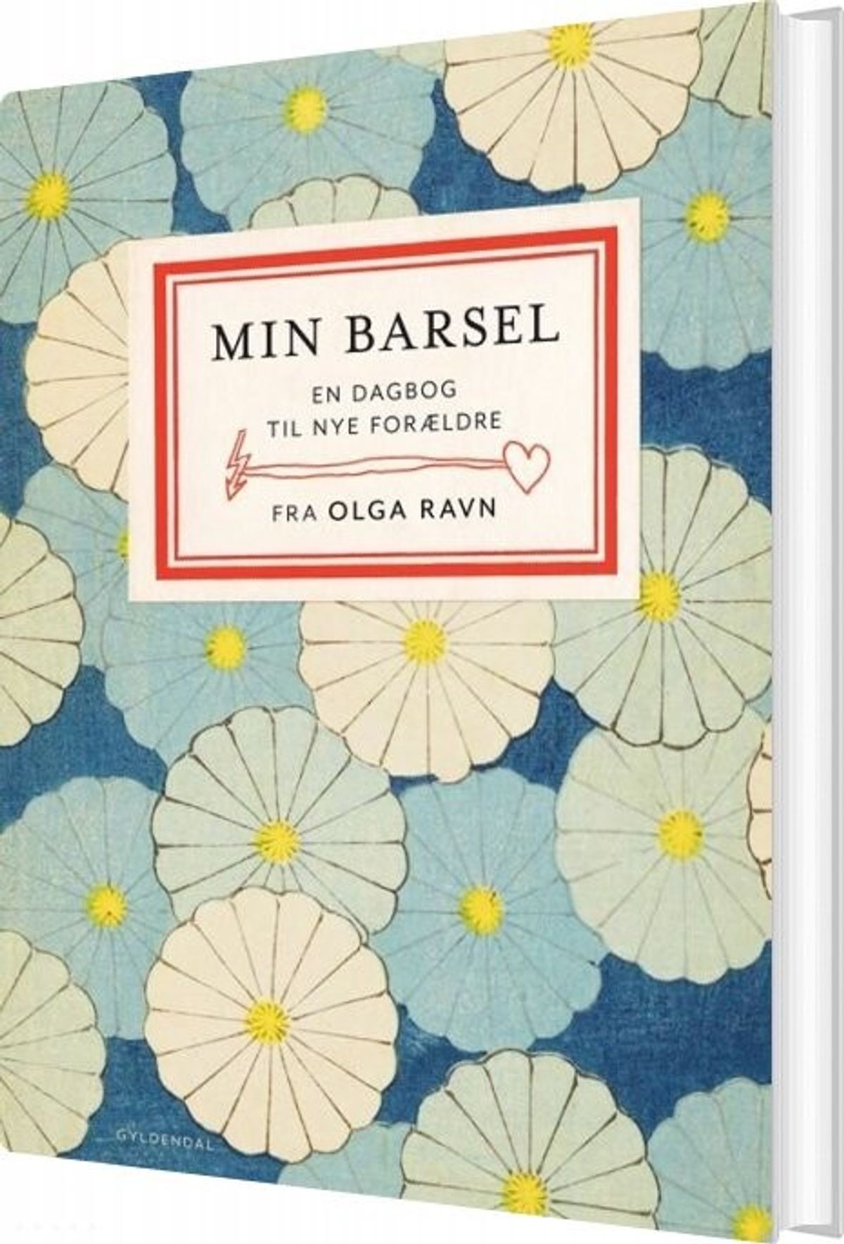 Min Barsel - Olga Ravn - Bog