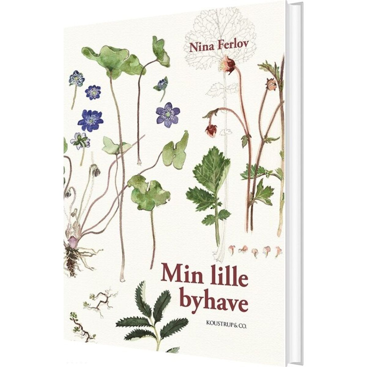 Min Lille Byhave - Nina Ferlov - Bog