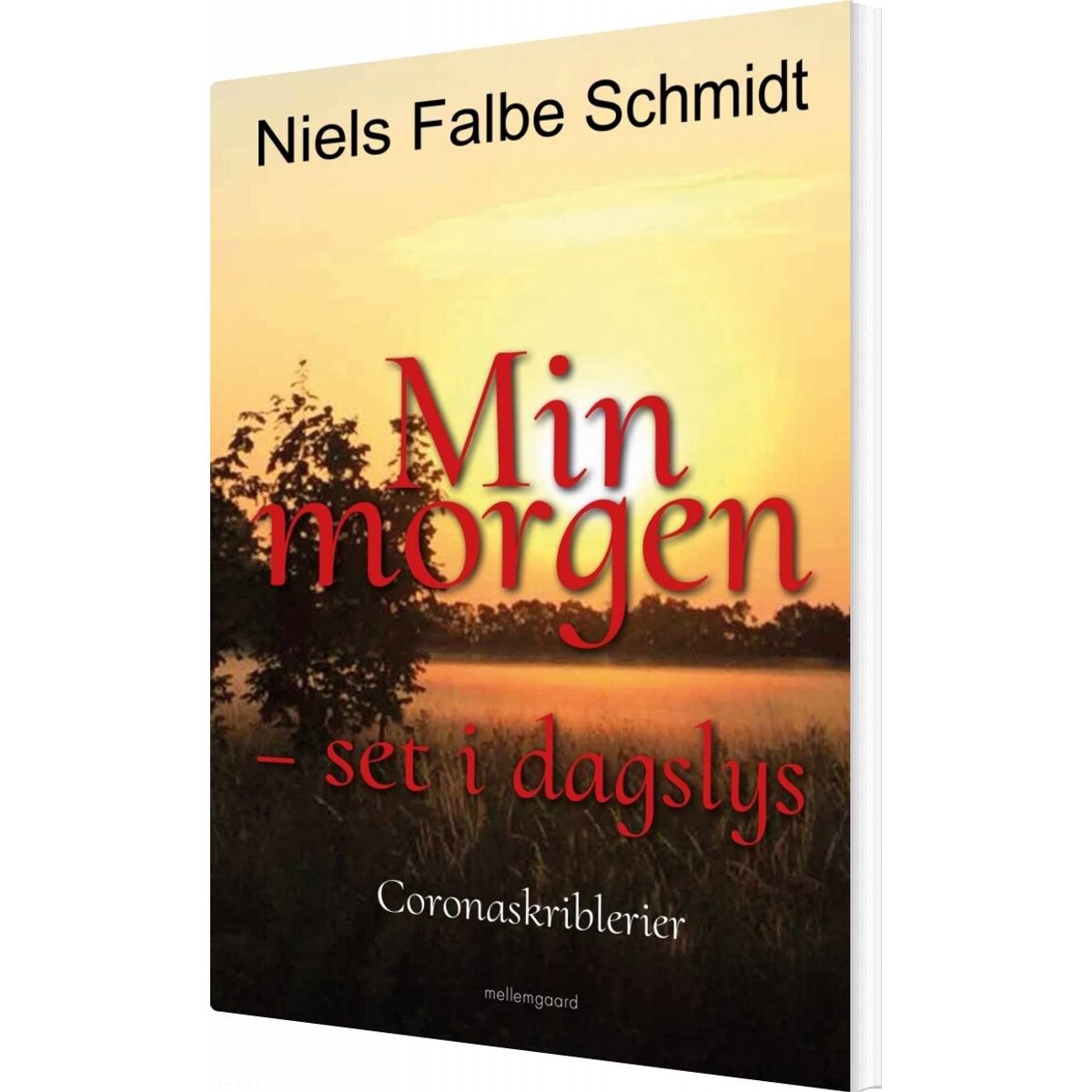 Min Morgen - Set I Dagslys - Niels Falbe Schmidt - Bog