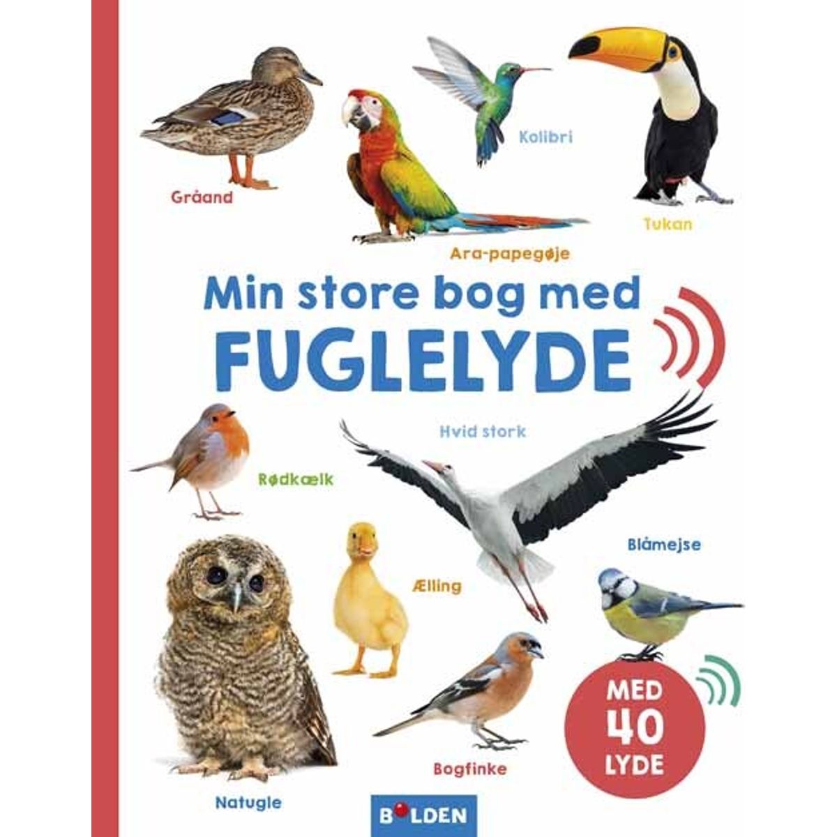 Min Store Bog Med Fuglelyde - Diverse - Bog