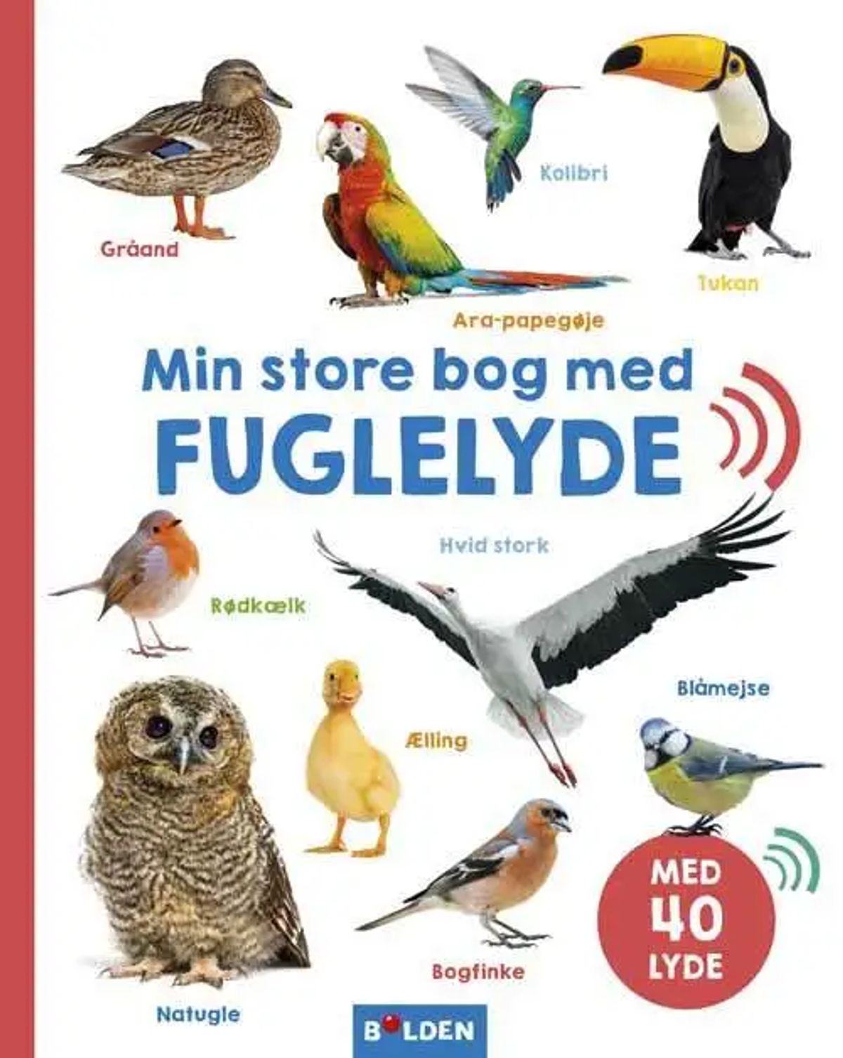 Min store bog med fuglelyde