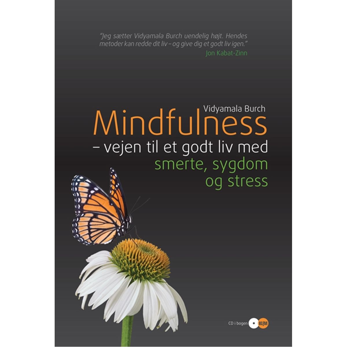 Mindfulness - vejen til et godt liv med smerte, sygdom og stress