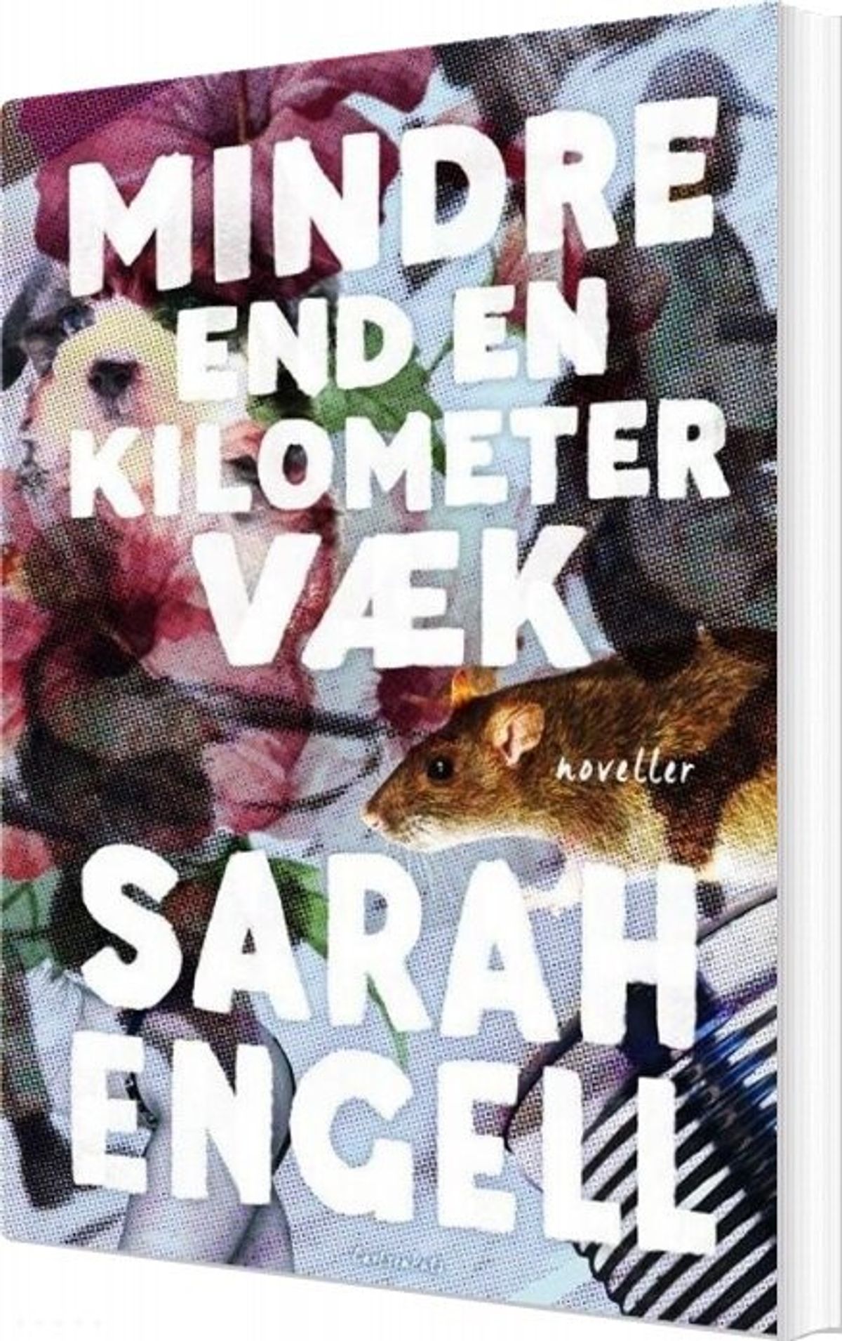 Mindre End En Kilometer Væk - Sarah Engell - Bog