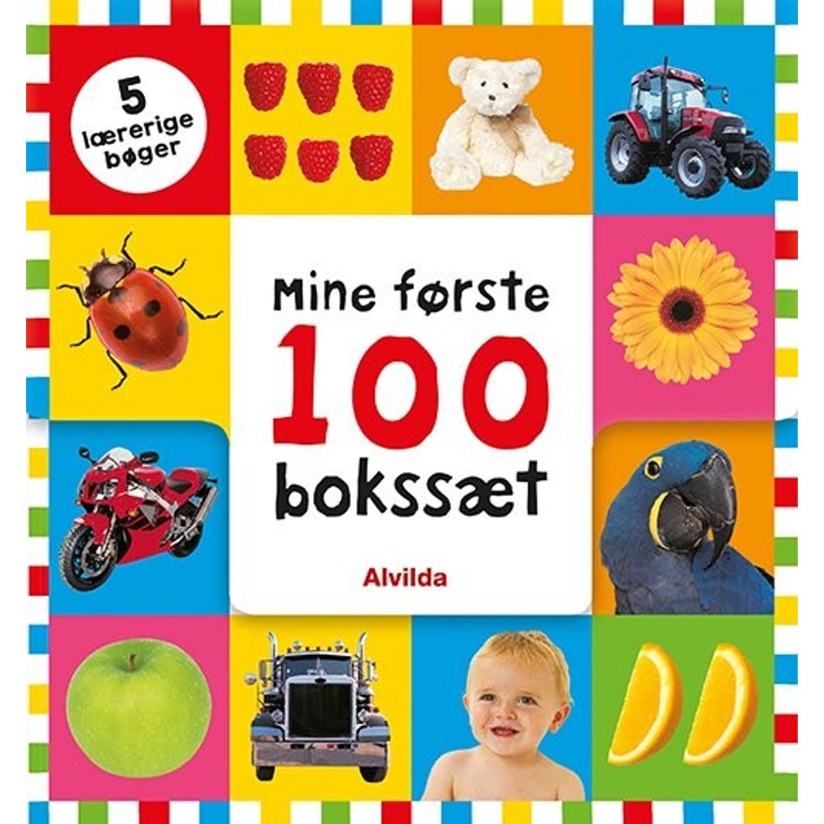 Mine Første 100 - Bokssæt - 5 Lærerige Bøger - Roger Priddy - Bog