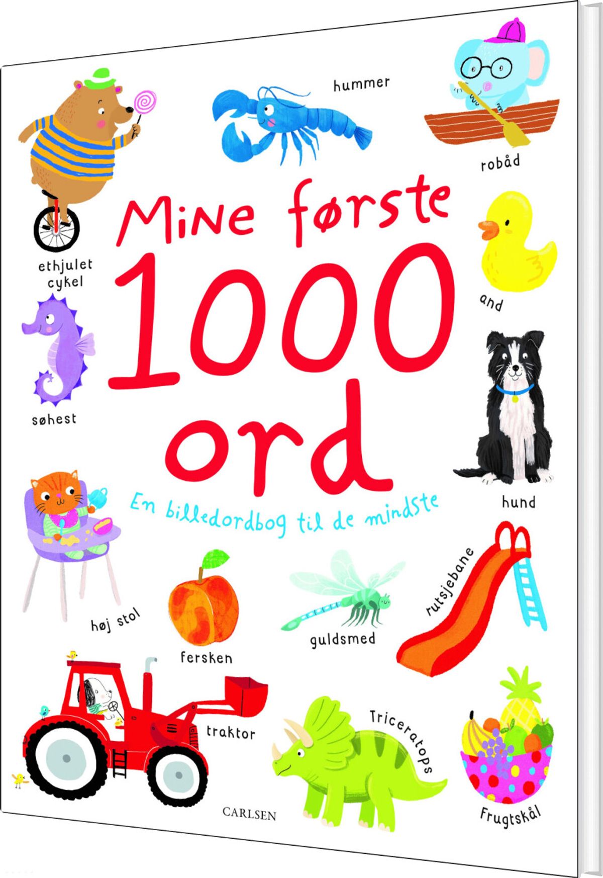 Mine Første 1000 Ord - Diverse - Bog