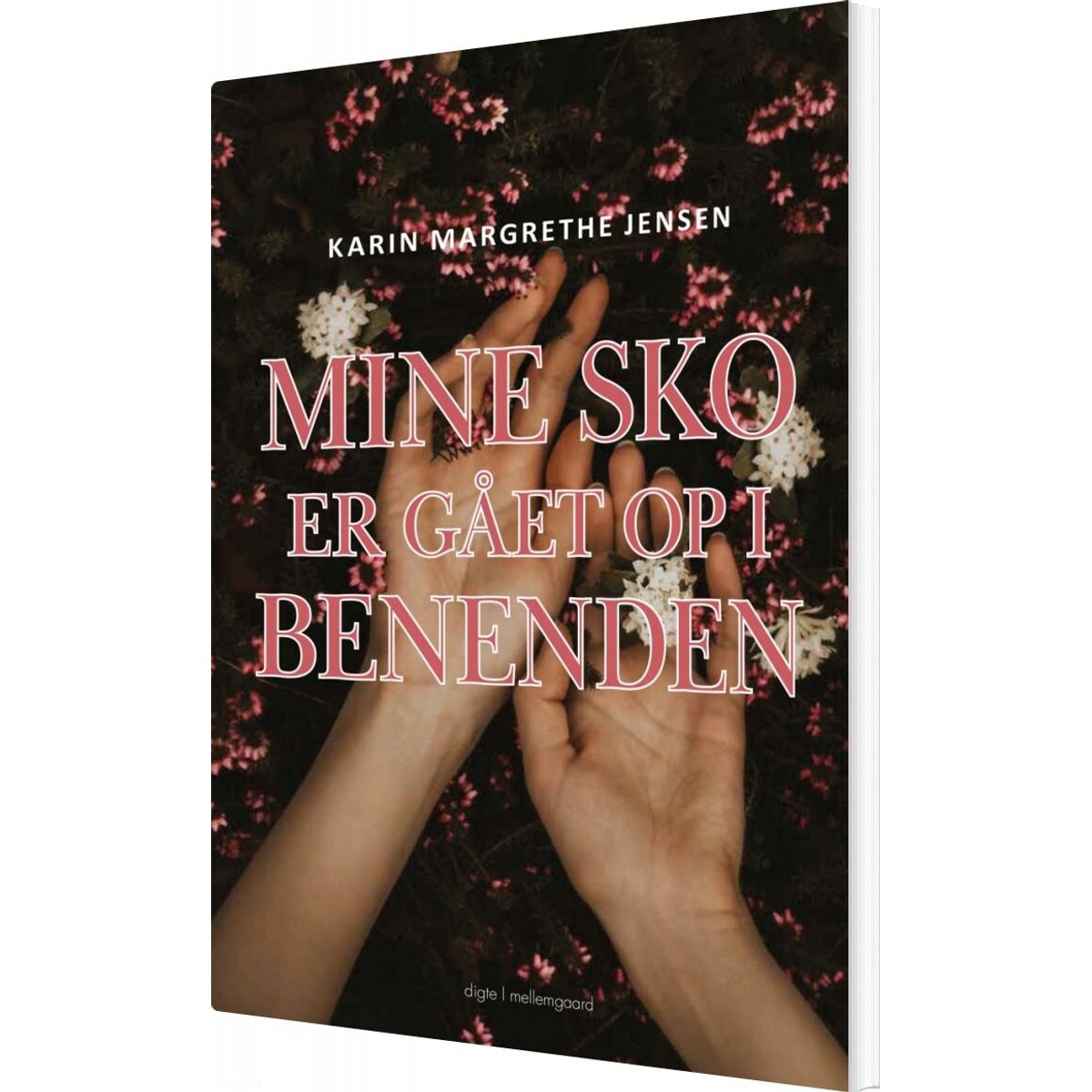 Mine Sko Er Gaaet Op I Benenden - Karin Margrethe Jensen - Bog