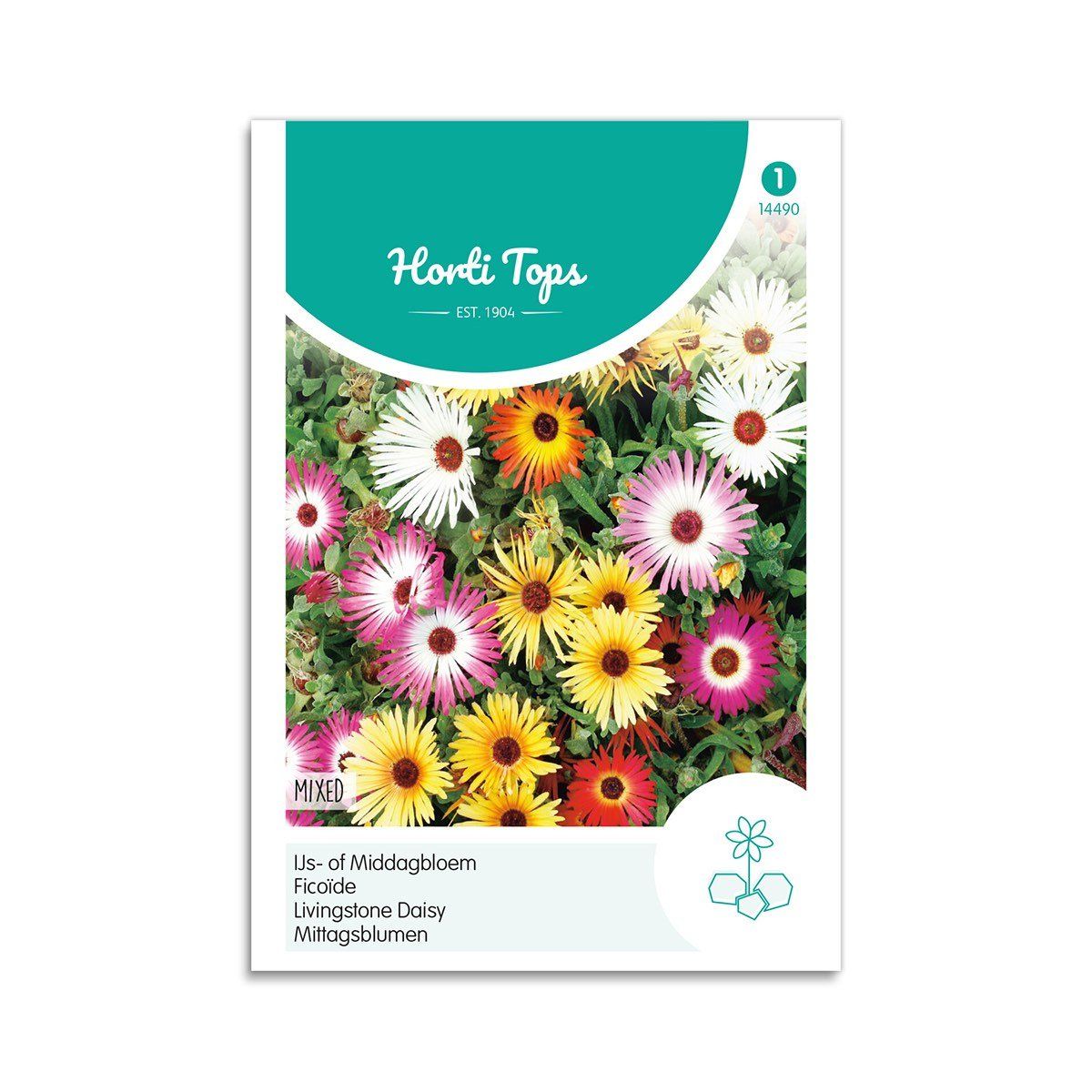 Mix Middagsblomst frø - Horti Tops