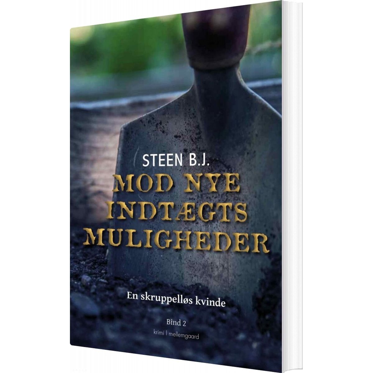 Mod Nye Indtægtsmuligheder - Steen B.j - Bog