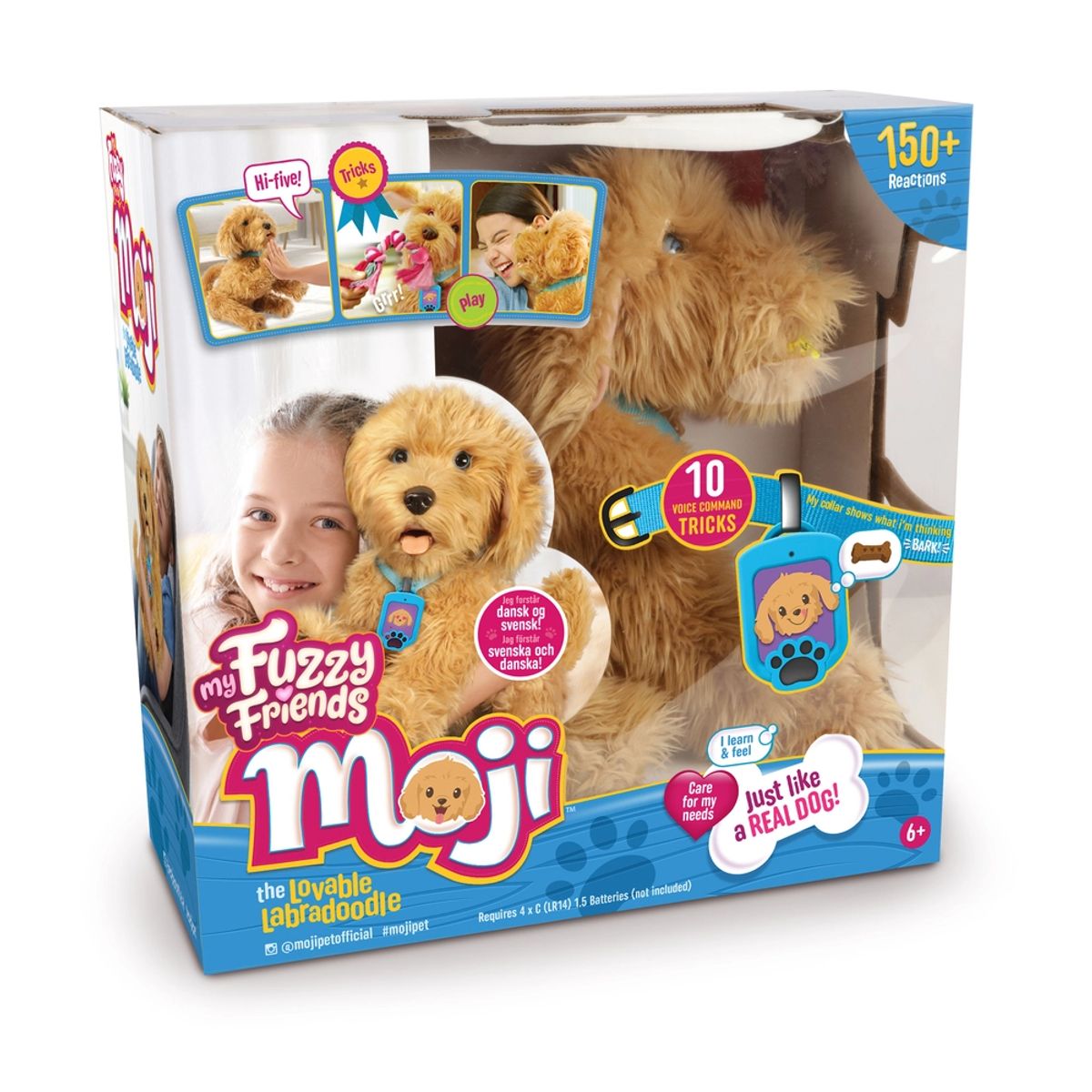 Moji the Lovable Labradoodle