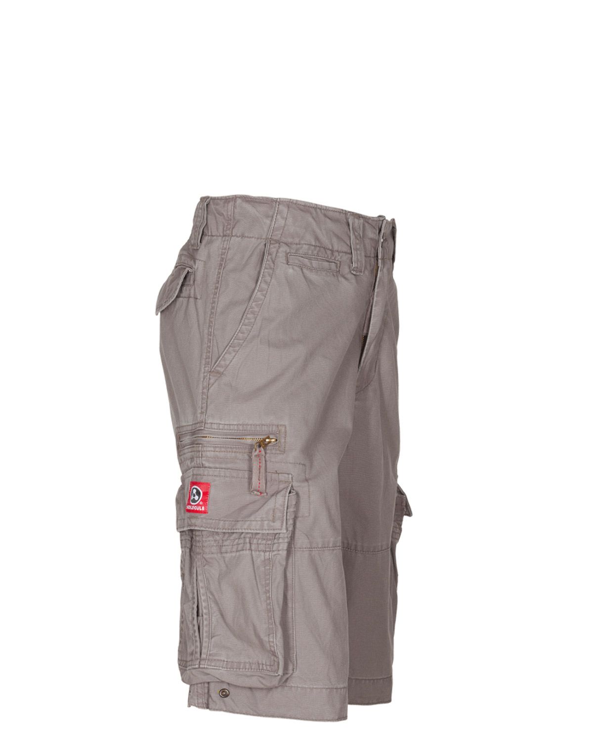 Molecule Cruisers Cargo Shorts Grå