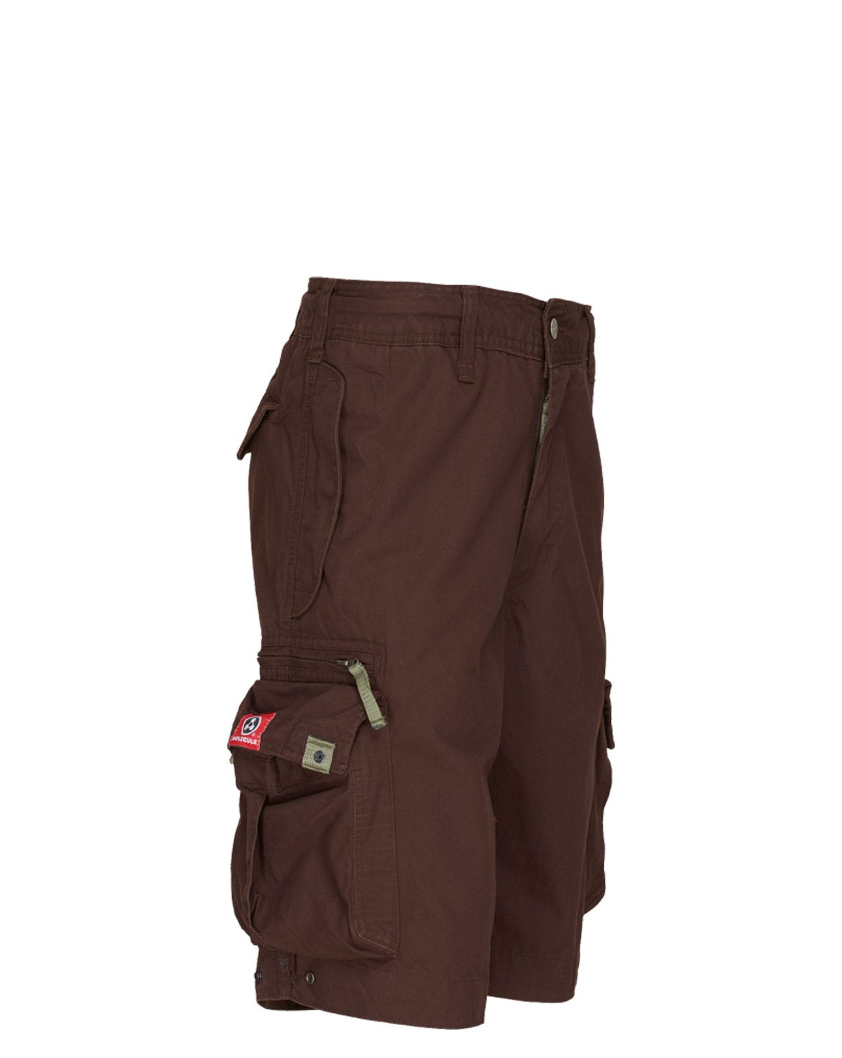 Molecule Originals Cargoshorts Brun