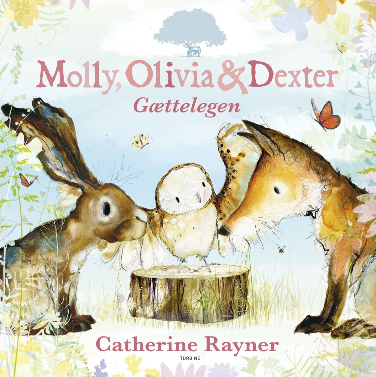 Molly, Olivia & Dexter - Catherine Rayner - Bog