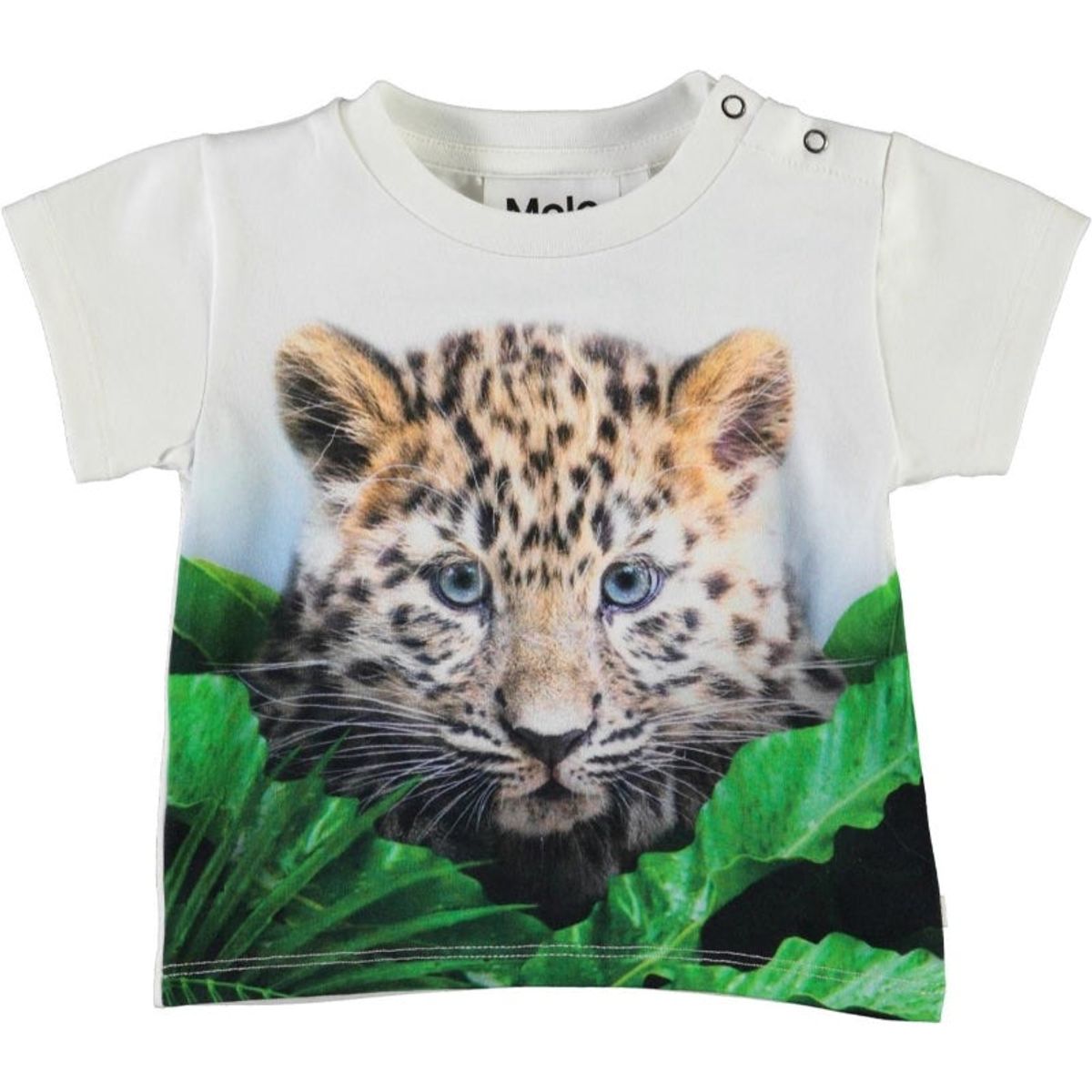 Molo - Emilio T-Shirt - Jungle Cub - 86