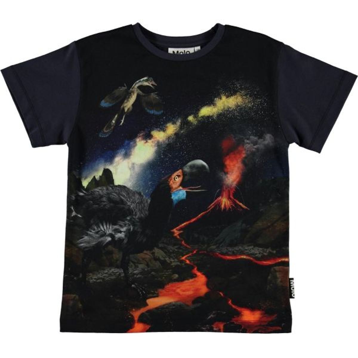 Molo - Rasmus T-Shirt - Wild Past - 116