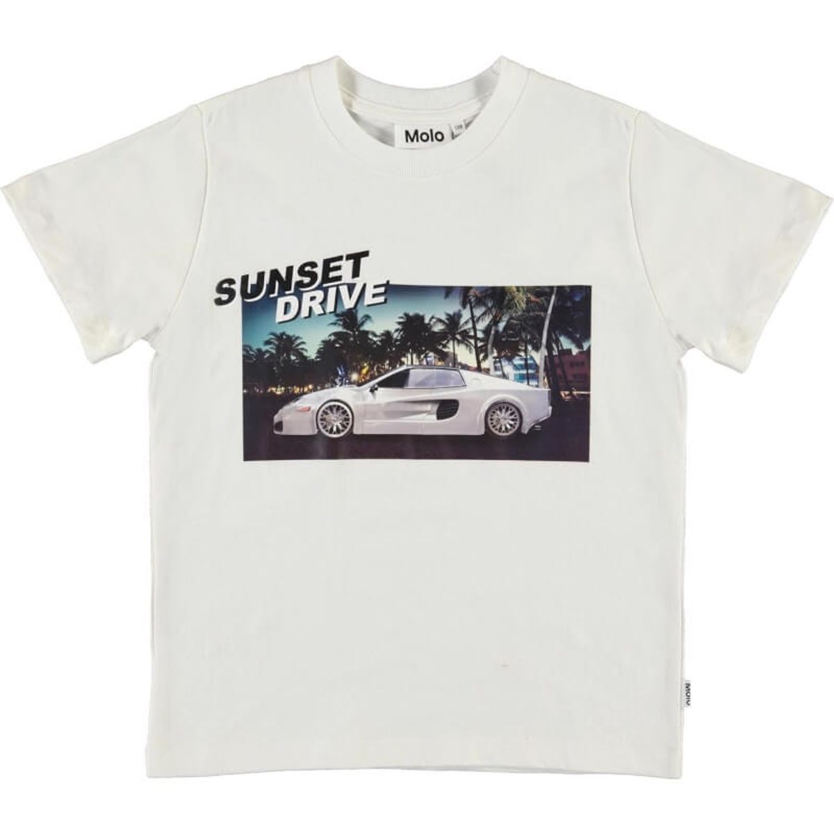 Molo - ROXO T-Shirt - Sunset Drive - 116