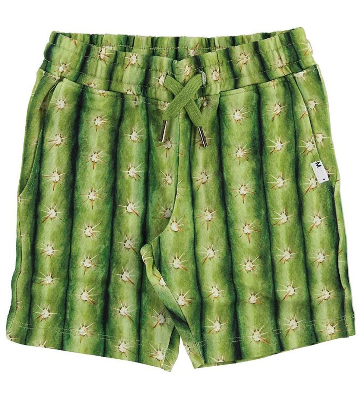 Molo Sweatshorts - Arnt - Cactus