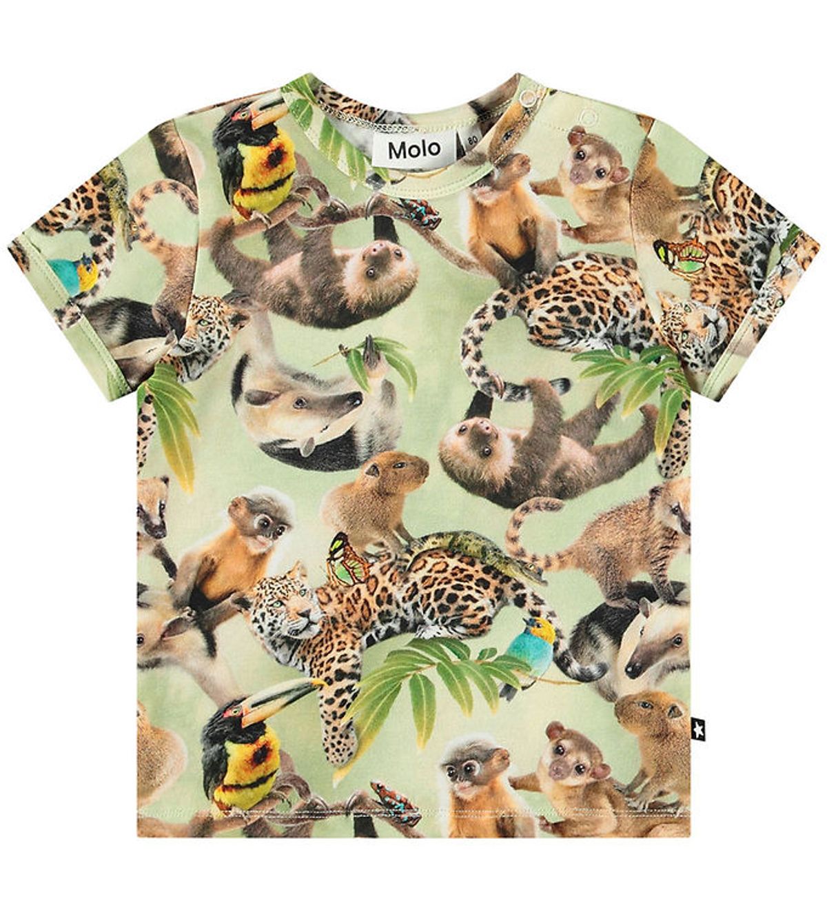 Molo T-shirt - Easy - Jungle Cubs