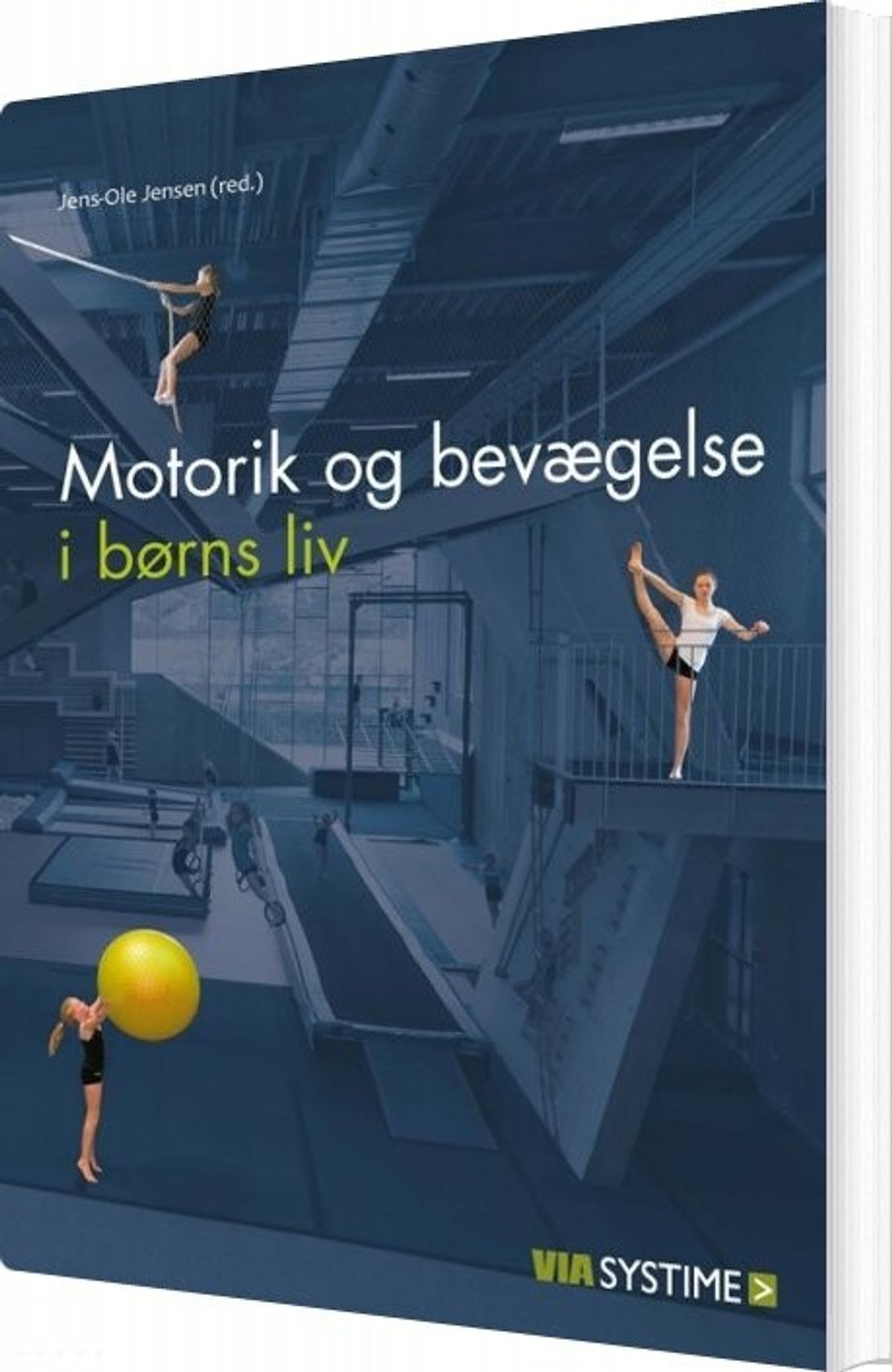 Motorik Og Bevægelse I Børns Liv - Lene Christiansen - Bog