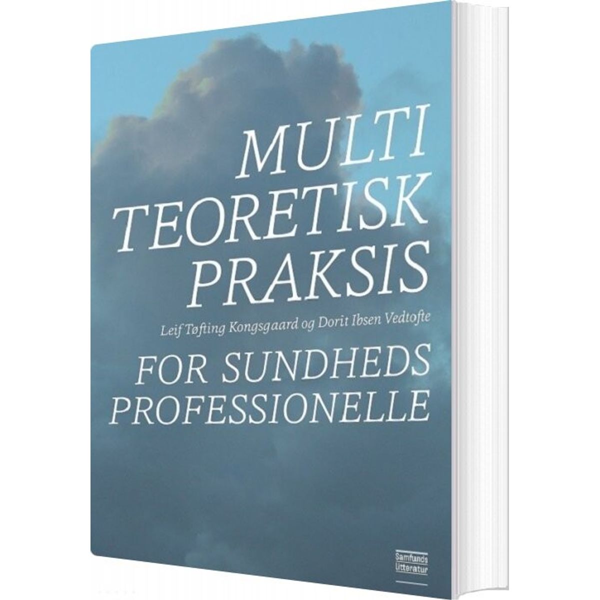 Multiteoretisk Praksis For Sundhedsprofessionelle - Dorit Ibsen Vedtofte - Bog