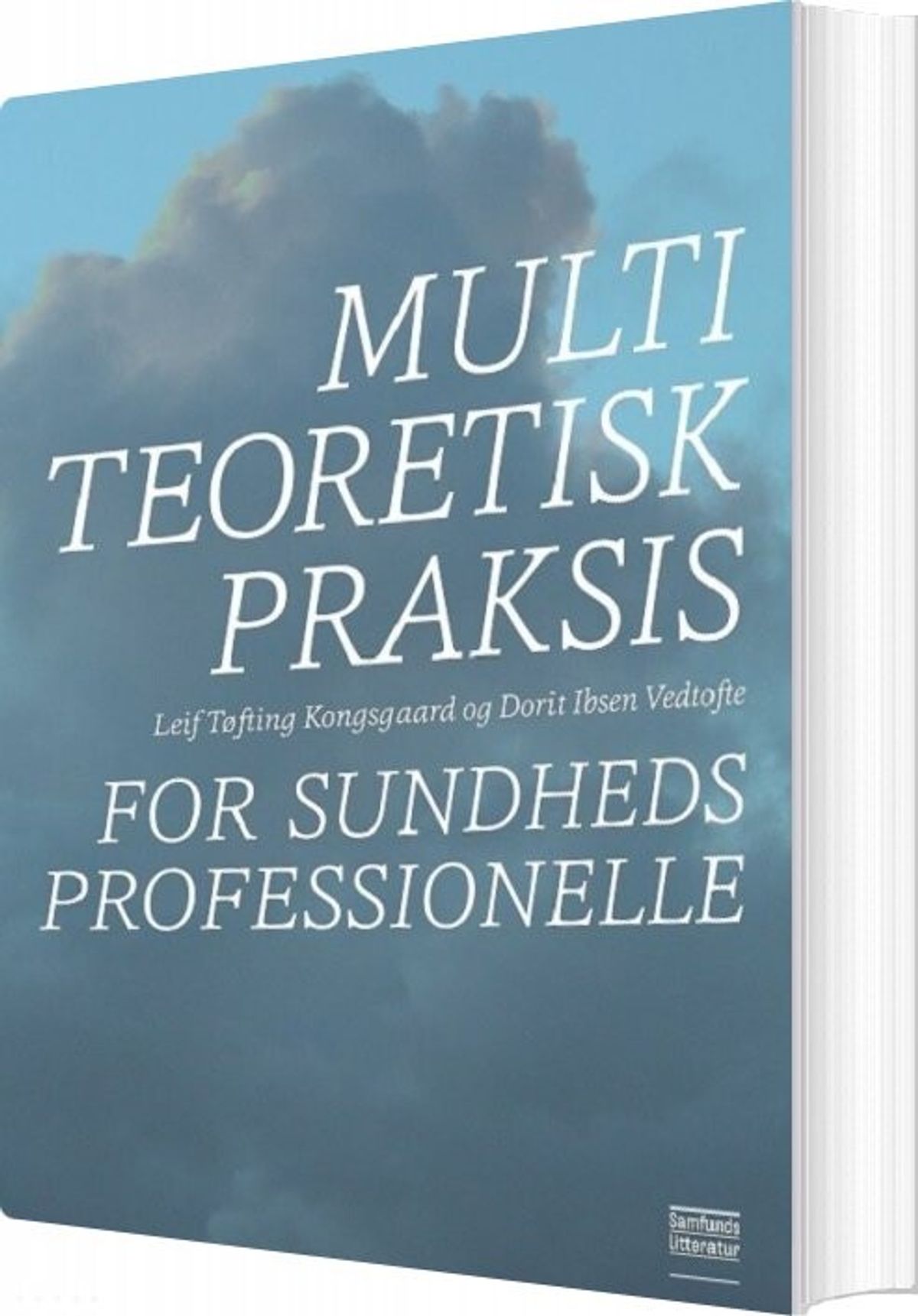 Multiteoretisk Praksis For Sundhedsprofessionelle - Dorit Ibsen Vedtofte - Bog