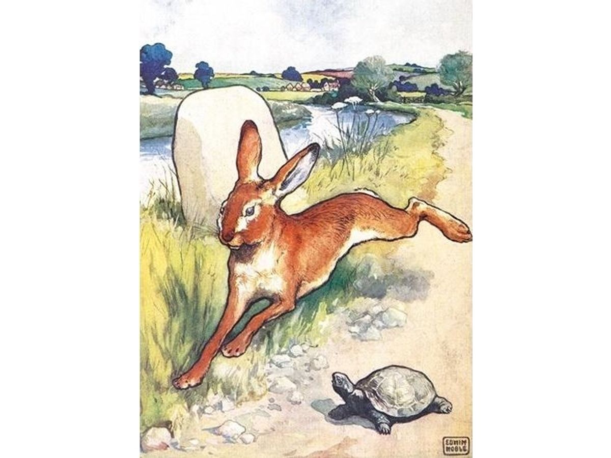 Museums & Galleries B6 Pass With The Hare And The Tortoise Envelope