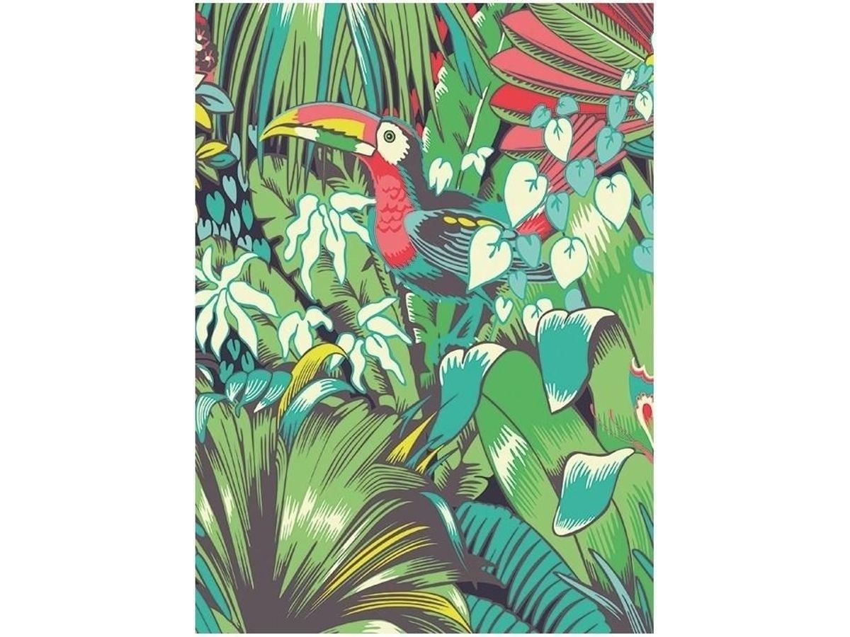 Museums & Galleries Pass B6 With Toucan Envelope