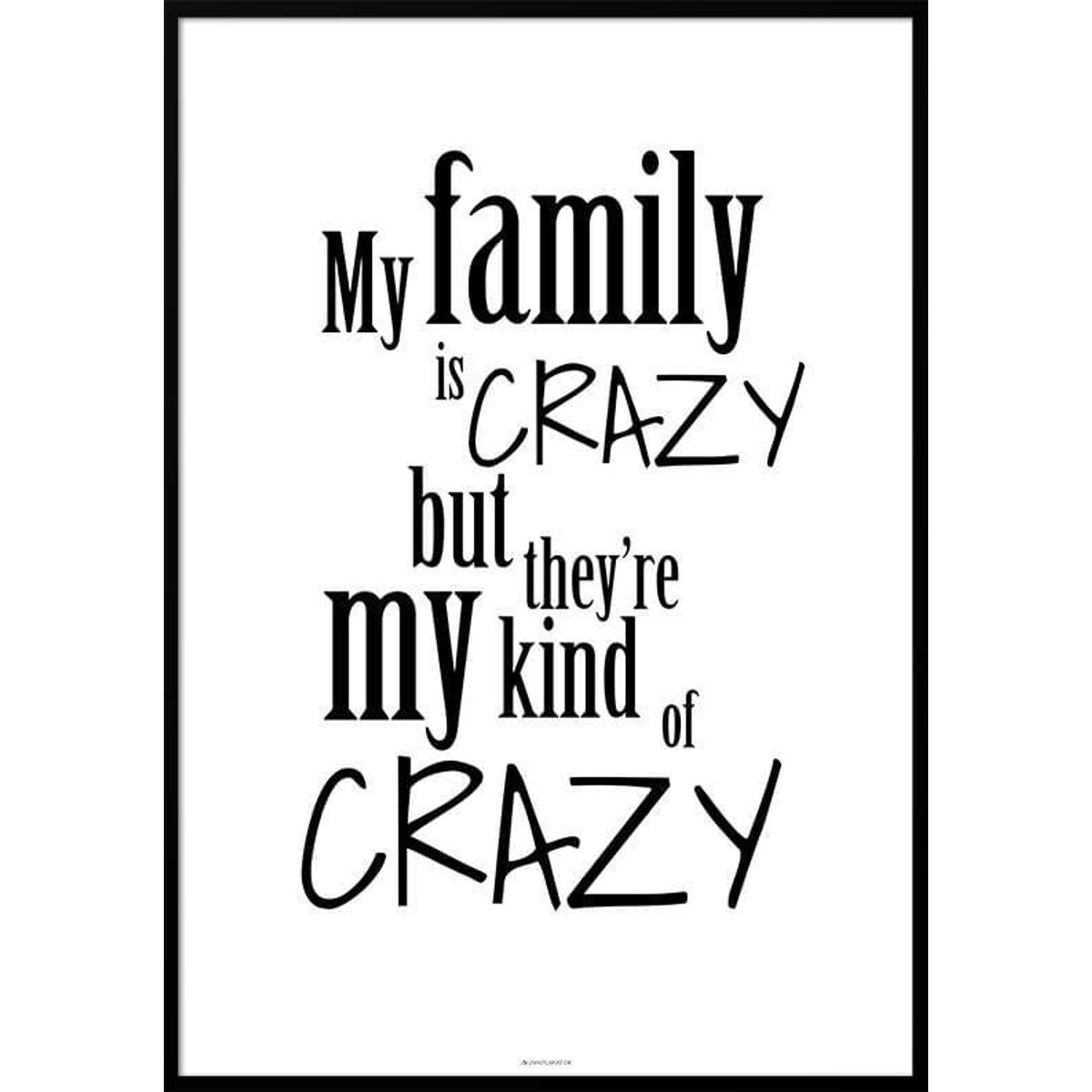 My familiy is crazy plakat