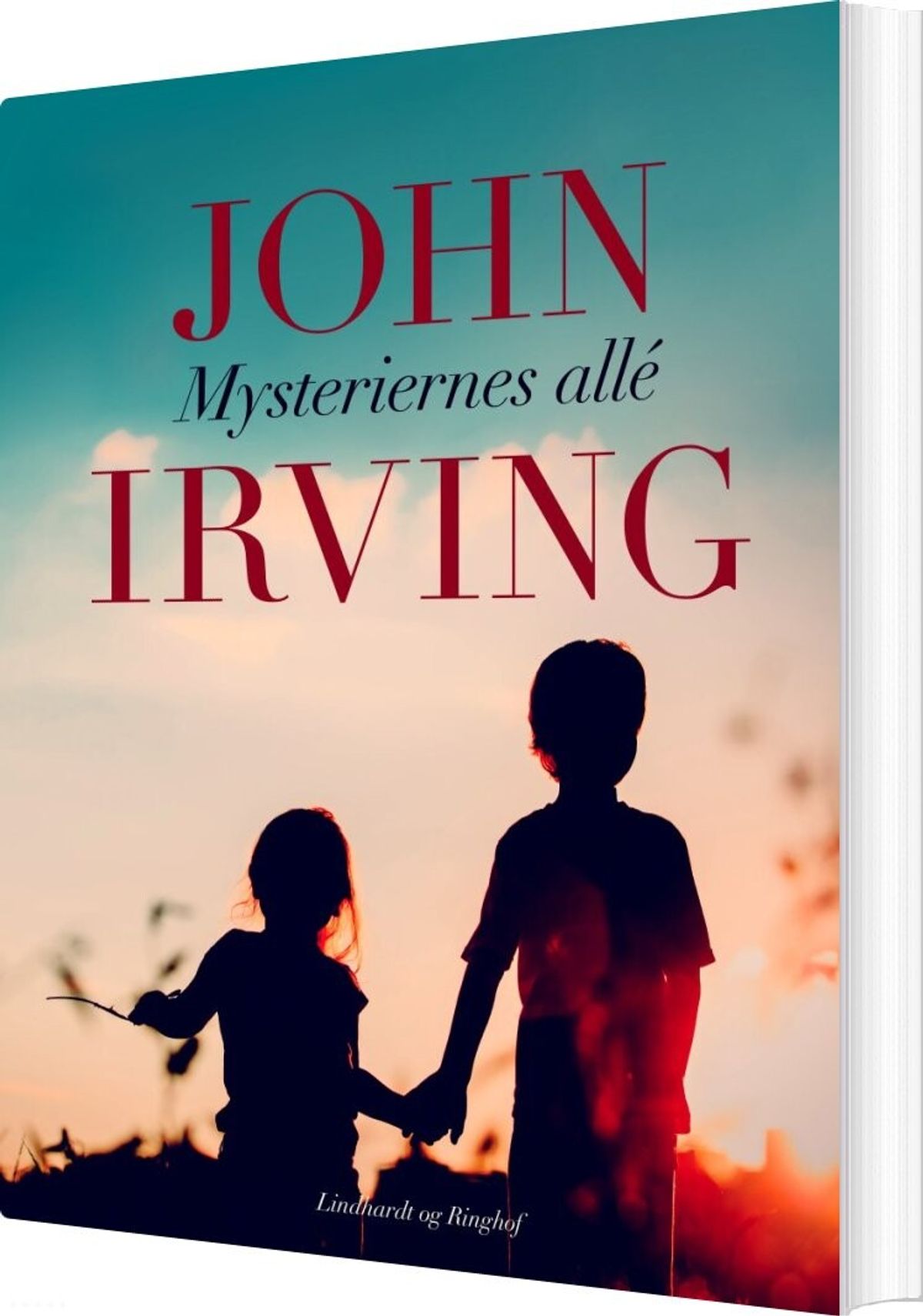 Mysteriernes Allé - John Irving - Bog