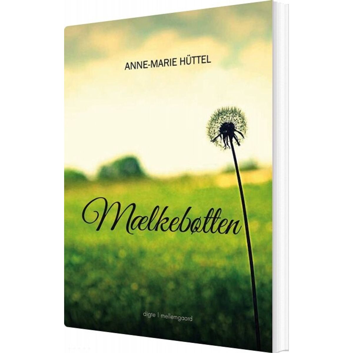 Mælkebøtten - Anne-marie Hüttel - Bog