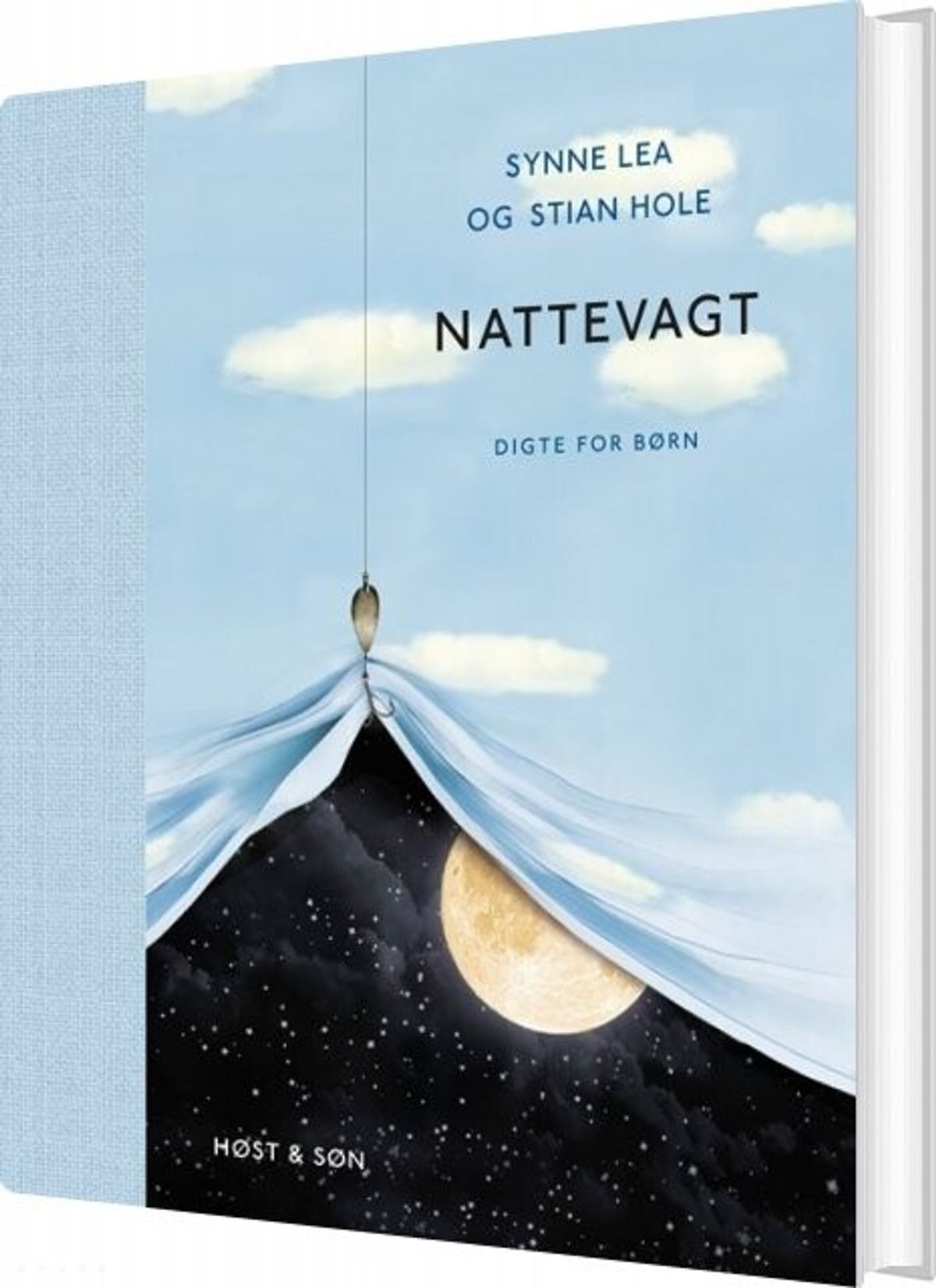 Nattevagt - Stian Hole - Bog