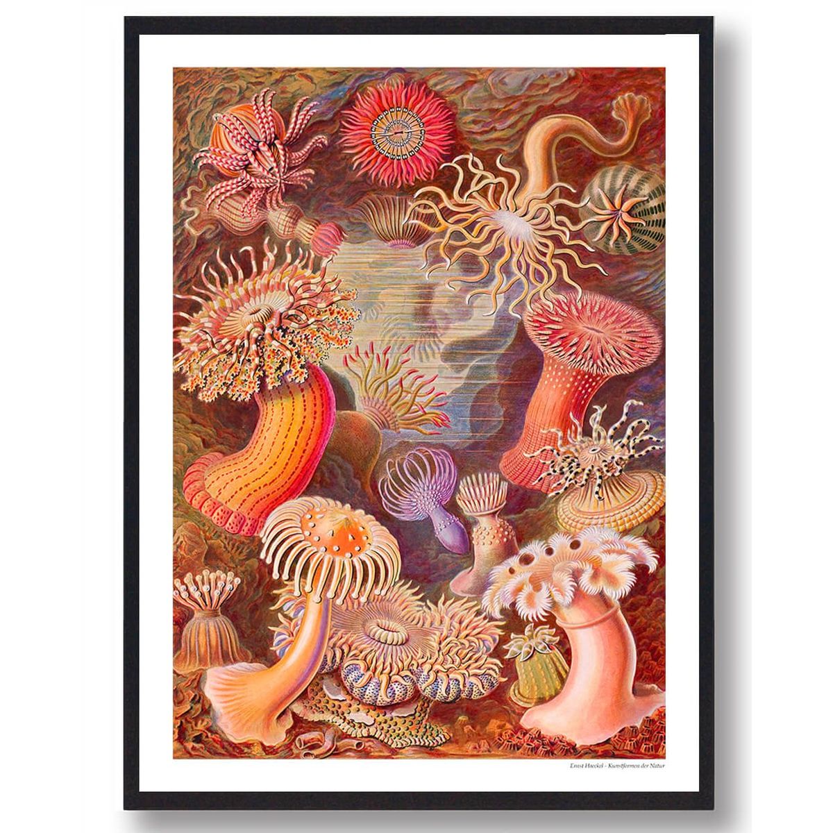 Natur 7 - plakat (Størrelse: L - 50x70cm (B2))