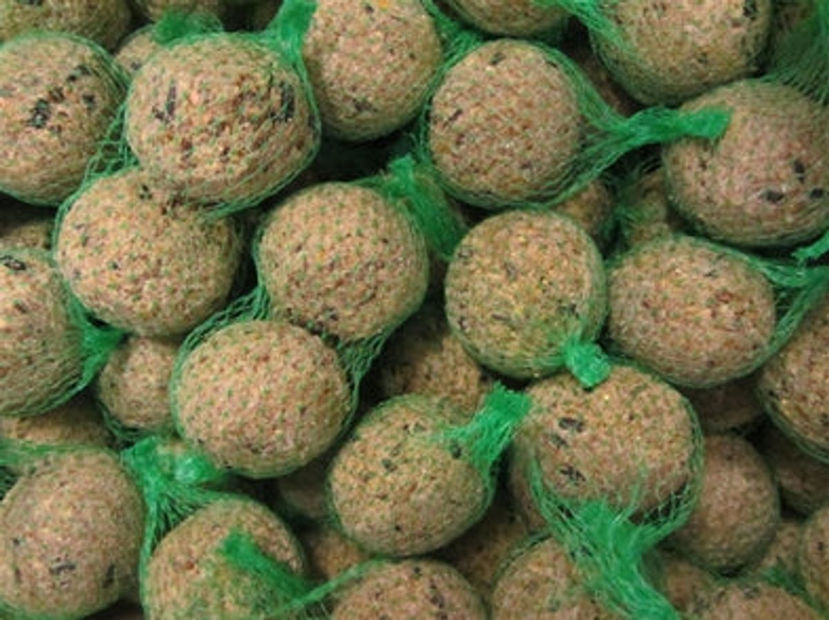 Natural Brande - Hobby first mejsebolde m/net 90 g 100 stk. - Fuglefoder