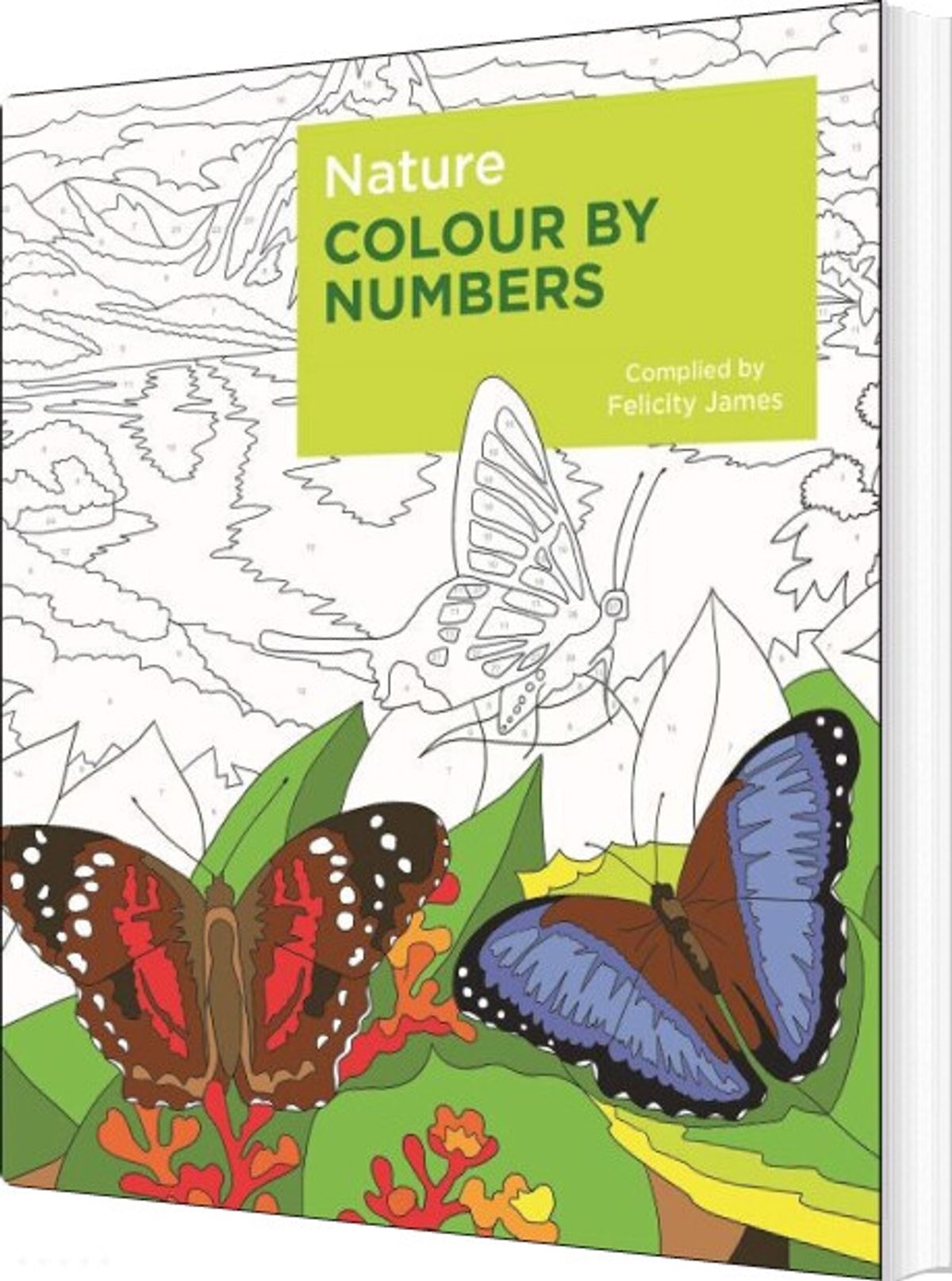 Nature Colour By Numbers - Felicity James - English Book