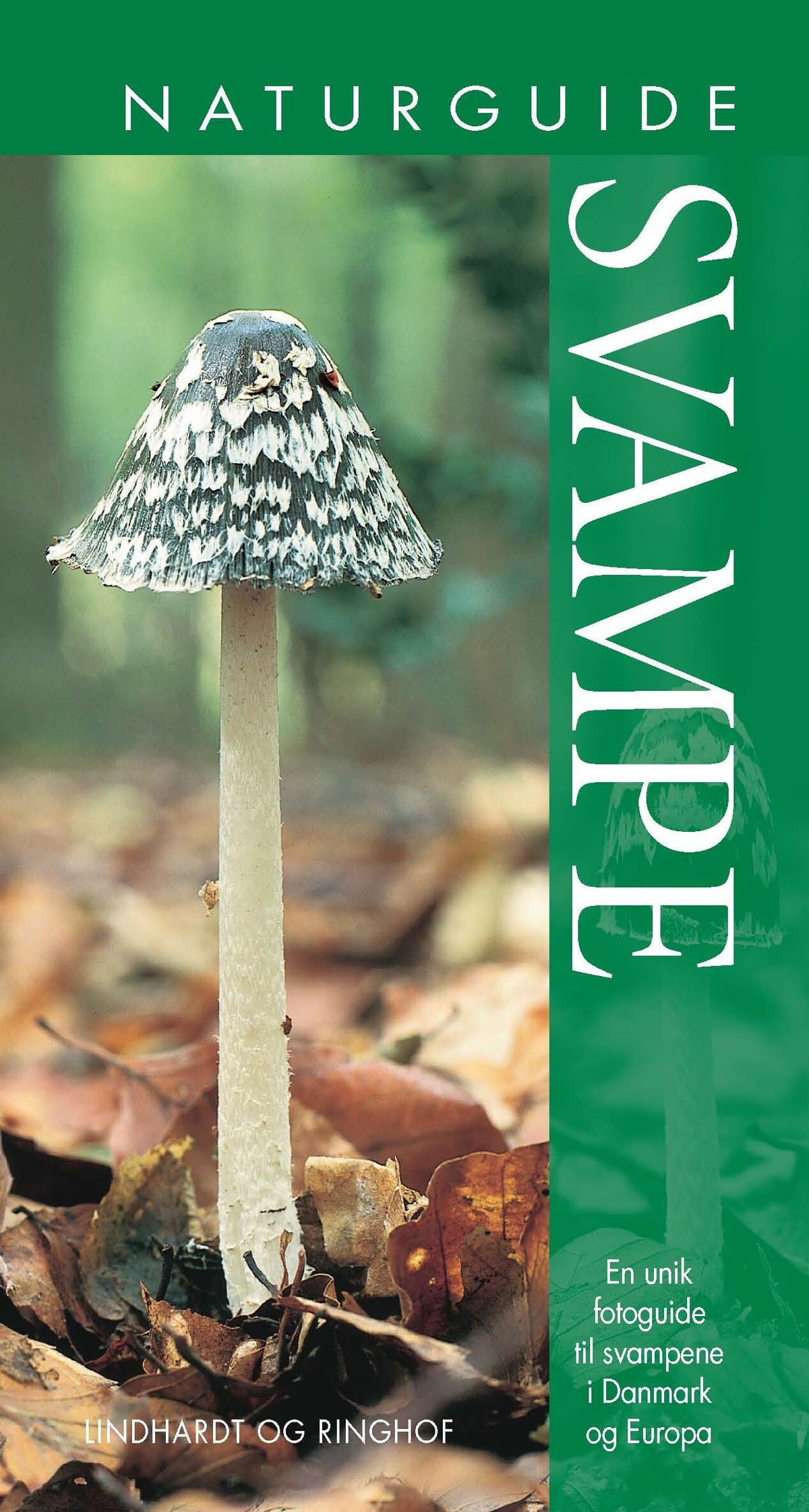 Naturguide Svampe - Shelley Evans - Bog