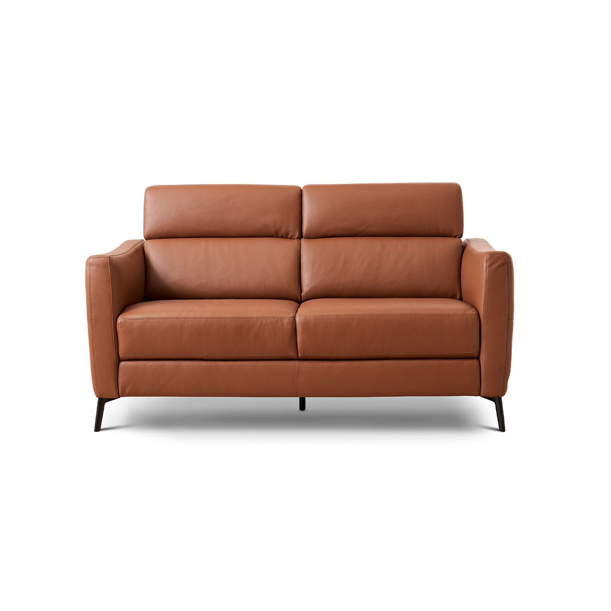 Natuzzi Editions C200 2 pers sofa