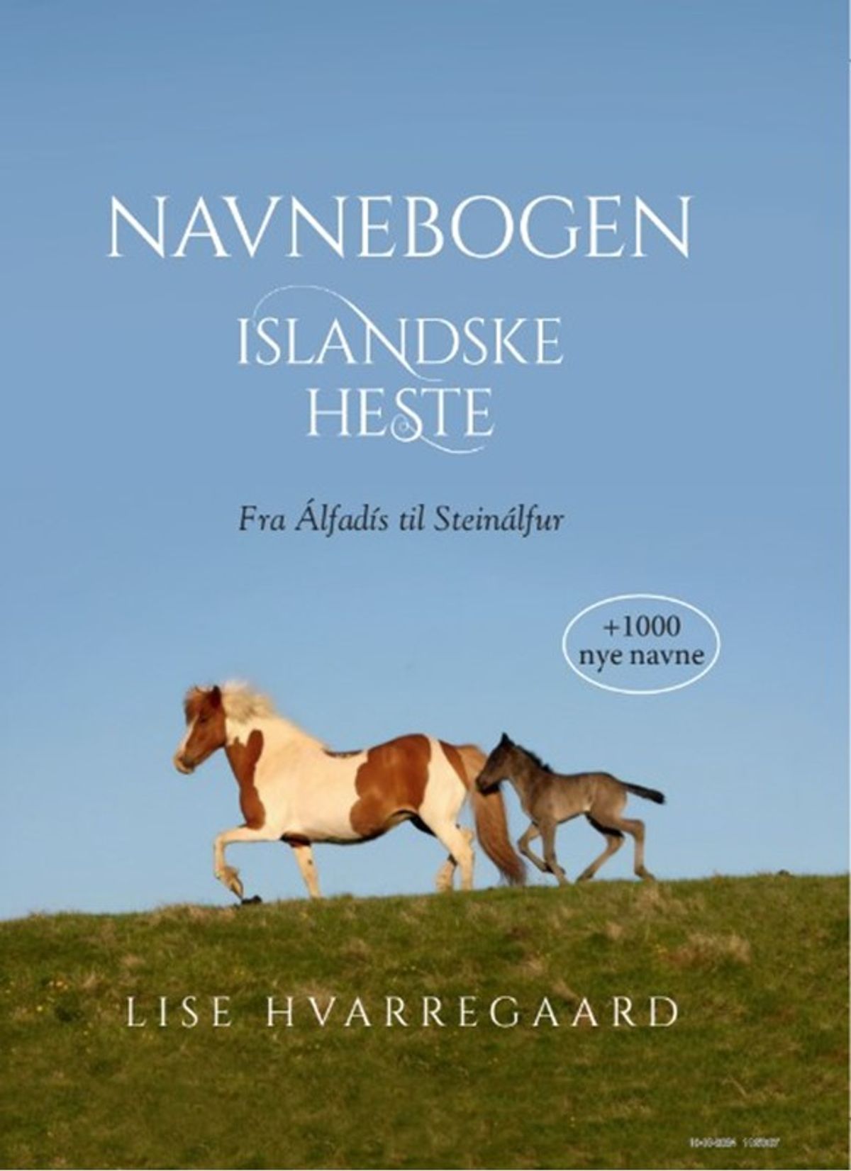 Navnebogen Islandske heste