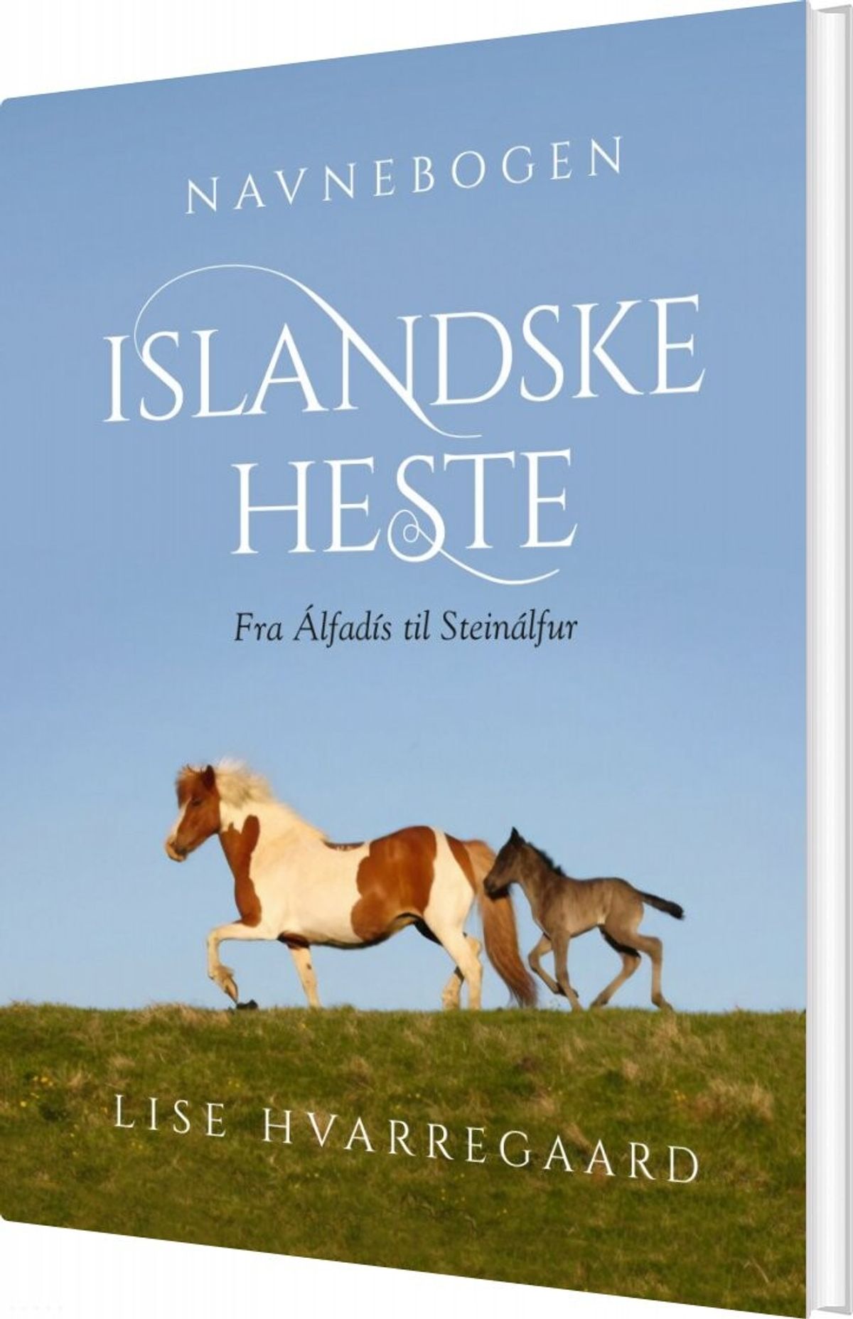 Navnebogen Islandske Heste - Lise Hvarregaard - Bog