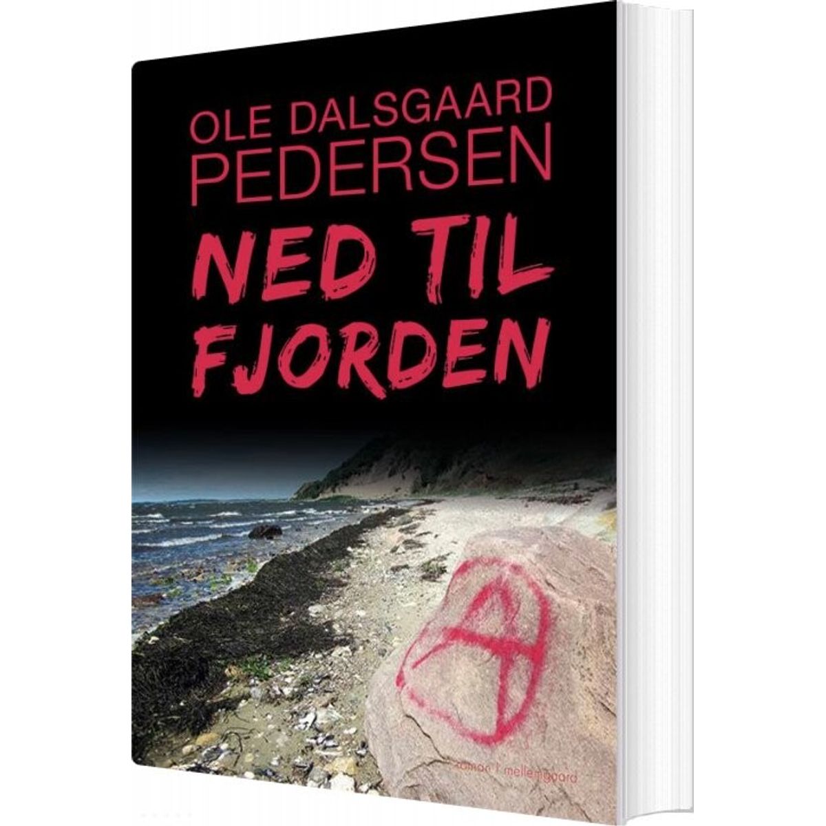 Ned Til Fjorden - Ole Dalsgaard Pedersen - Bog