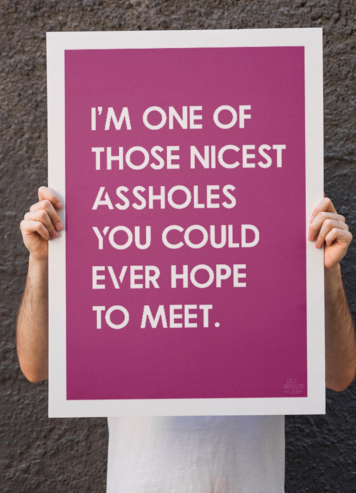 Nice asshole-plakat (pink) - 30 x 40 cm - Kr. 219,-