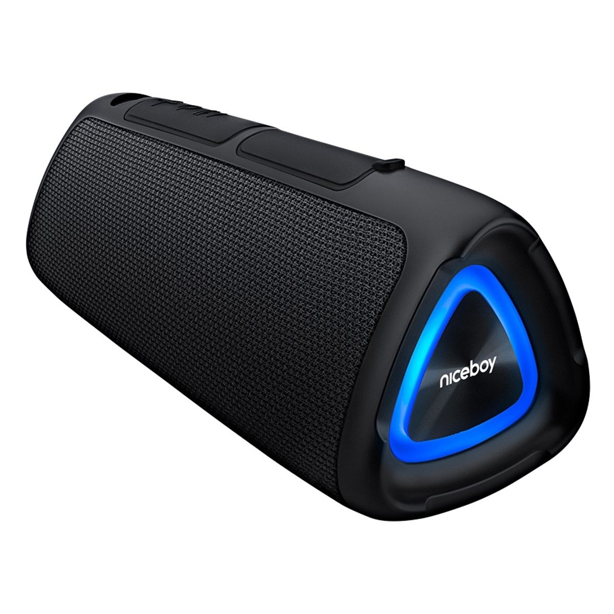 Niceboy Raze Fusion 10W Radio & Bluetooth højtaler, Sort