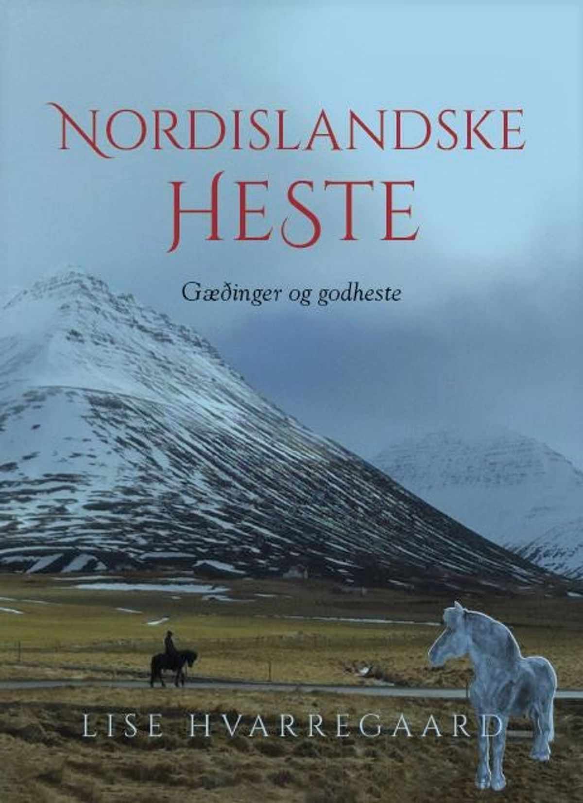 Nordislandske heste