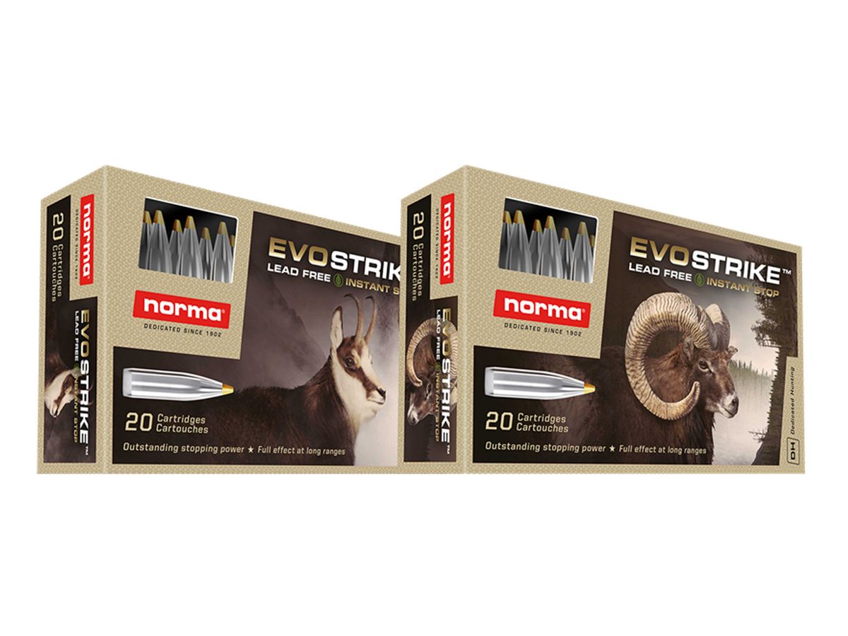 Norma EVO Strike blyfri-270 Win 6,2 gram