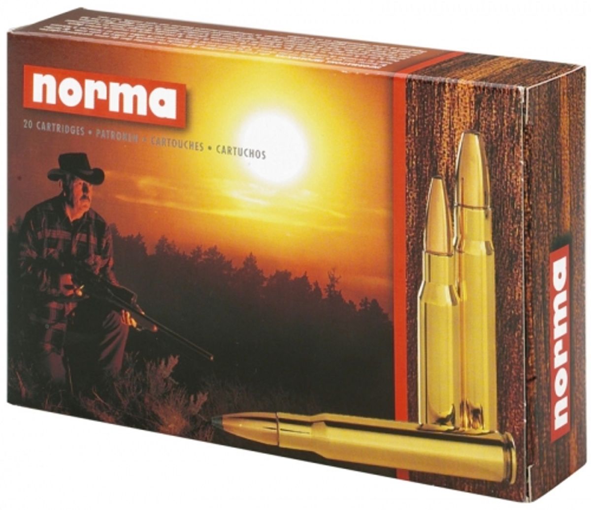 Norma Nosler 3006 BST 9,7 gram