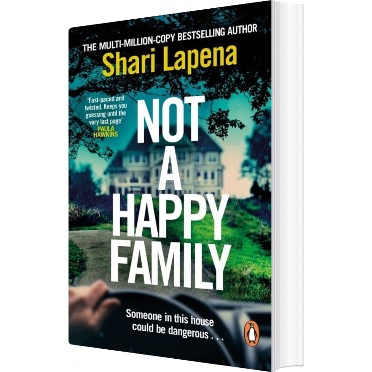 Not A Happy Family - Shari Lapena - English Book