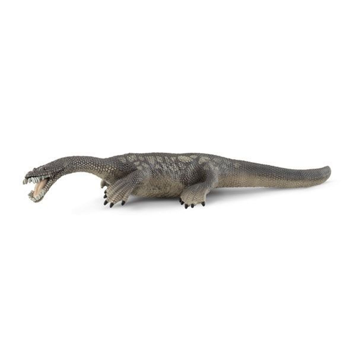 Nothosaurus