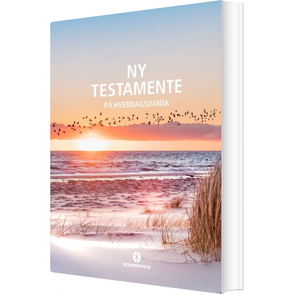 Ny Testamente - På Hverdagsdansk, Strand - Diverse - Bog