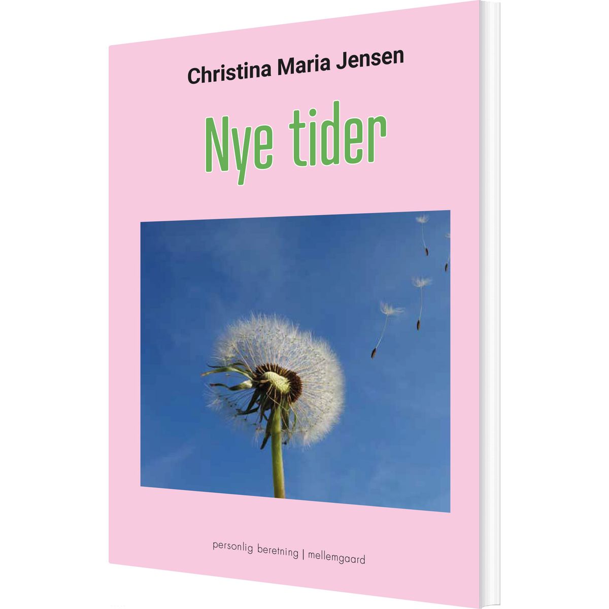 Nye Tider - Christina Maria Jensen - Bog