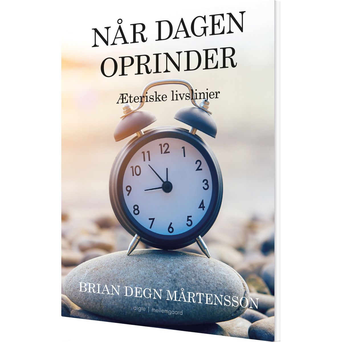 Når Dagen Oprinder - Brian Degn Mårtensson - Bog